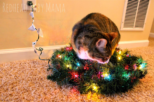 Kitty in a pre lit Christmas Wreath - Redhead Baby Mama