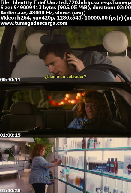Ladrona de Identidades (2013)