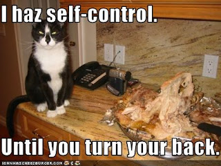 photo of a cat with self control...sort of