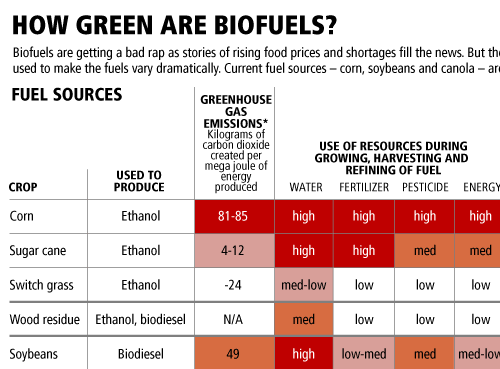bio ethanol vs biodiesel