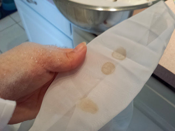 An Open Window Removing Stink Bug Stains From Curtains Or Nesting Part 1 Removing Stink Bug Stains From Curtains, Brown Stains On Curtains