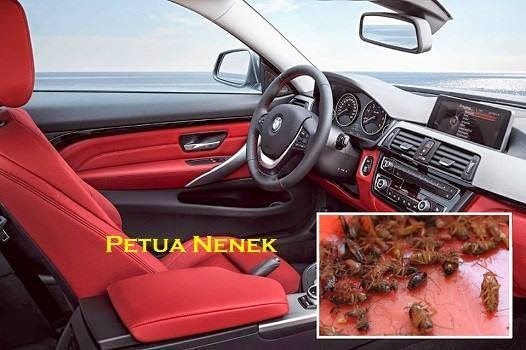 Cara Selamat Dan Mudah Menghalau Dan Memerangkap Lipas Yang Bersarang Di Dalam Kereta Cara Selamat Dan Mudah Menghalau Dan Memerangkap Lipas Yang Bersarang Di Dalam Kereta