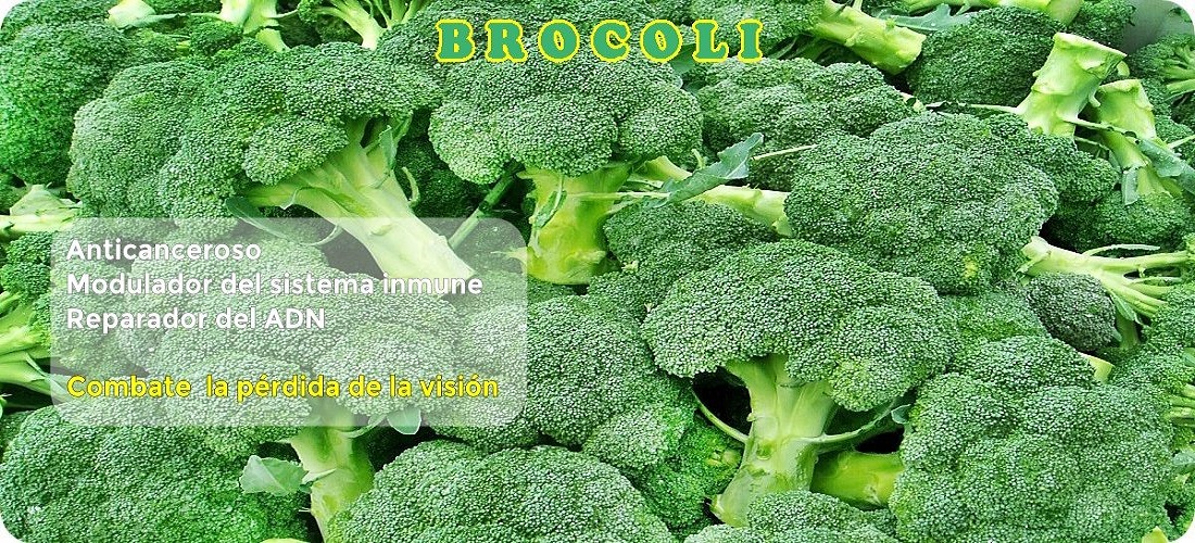 El brócoli combate la pérdida de la vision brócoli