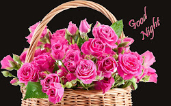 night flowers rose roses wallpapers basket lovely evening wishes funnyexpo