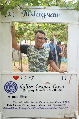 Calica Grapes Farm Calica Grapes Farm, La Union Trip Itinerary