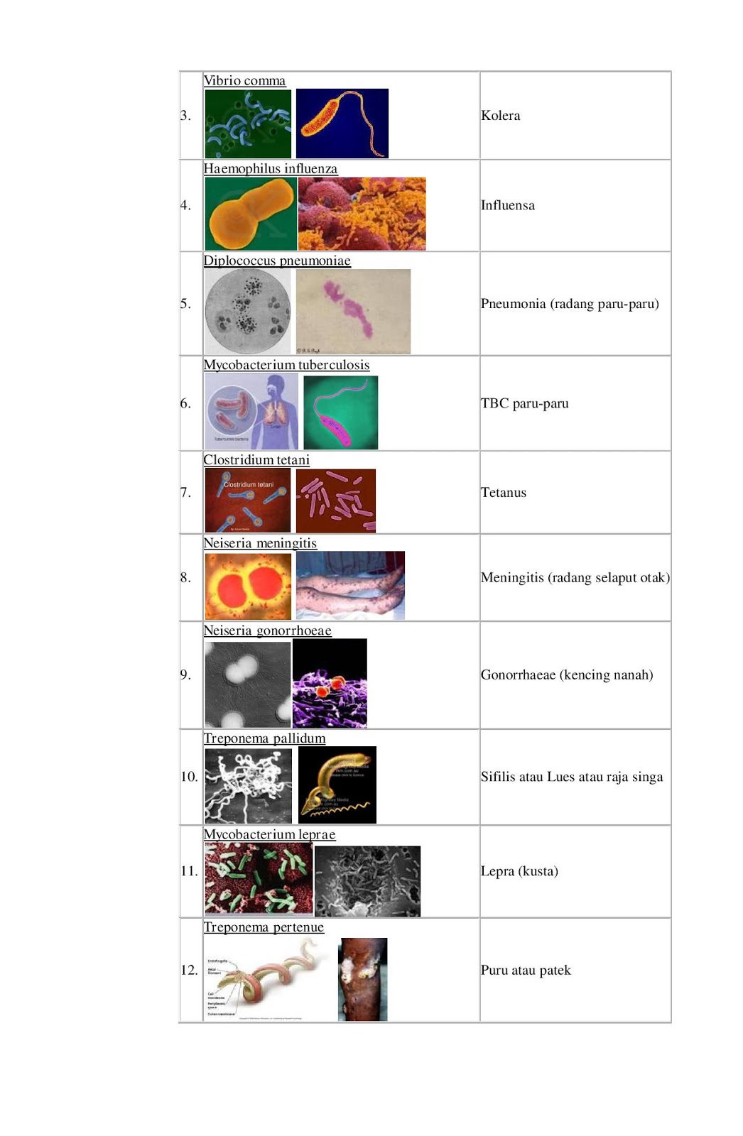 MATERI IPA SMP: KLASIFIKASI MAKHLUK HIDUP