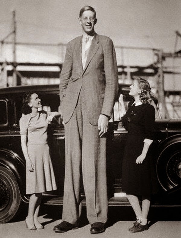 História em Imagens O Homem Mais Alto da História História em Imagens O Homem Mais Alto da História