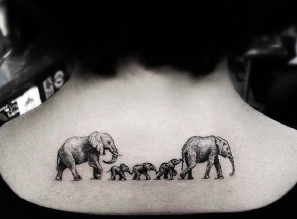 Tatuagens femininas de animais Tatuagens femininas de animais