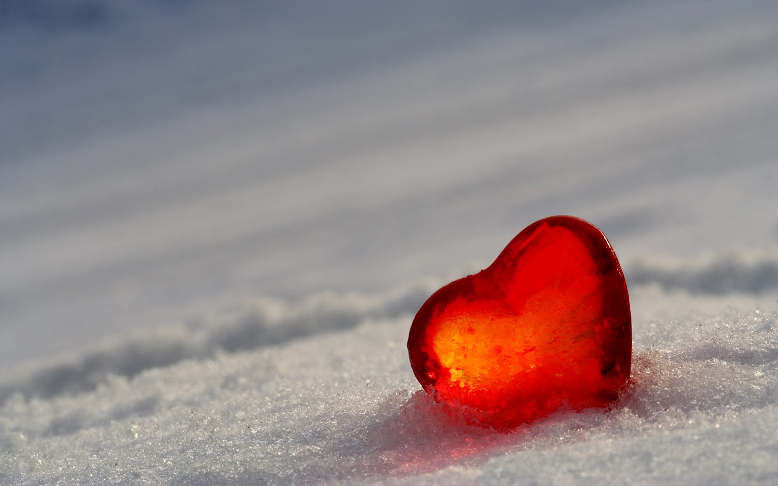 download hearts for pc