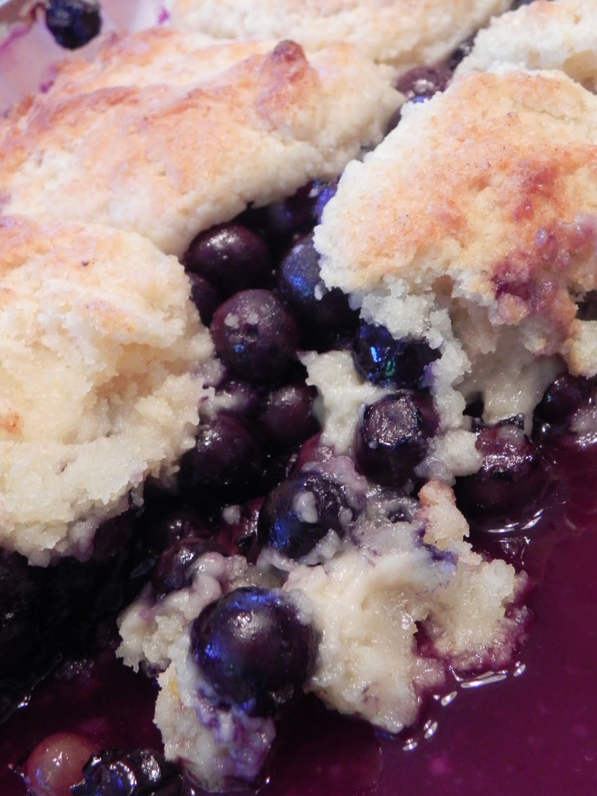 Gift of simplicity blueberry cobbler