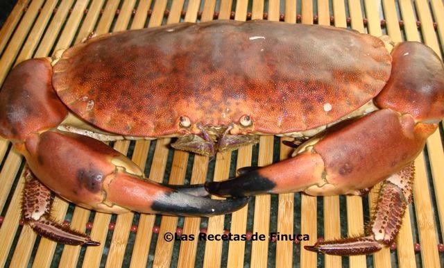 Si nunca has comido arroz con cambaros y maseras, no tienes ni puta idea de gastronom