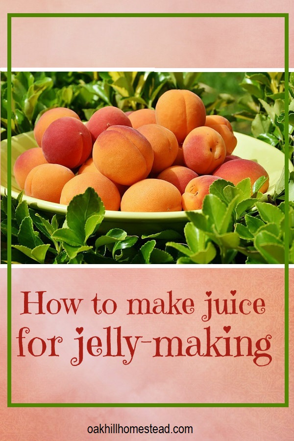 How to Make Fruit Juice for Jelly, plus my favorite jellies and jams