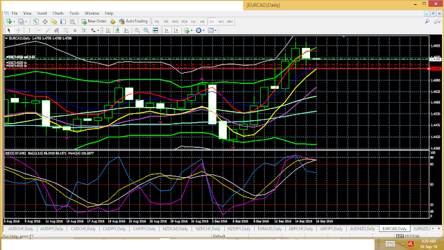 Signal forex telegram akurat