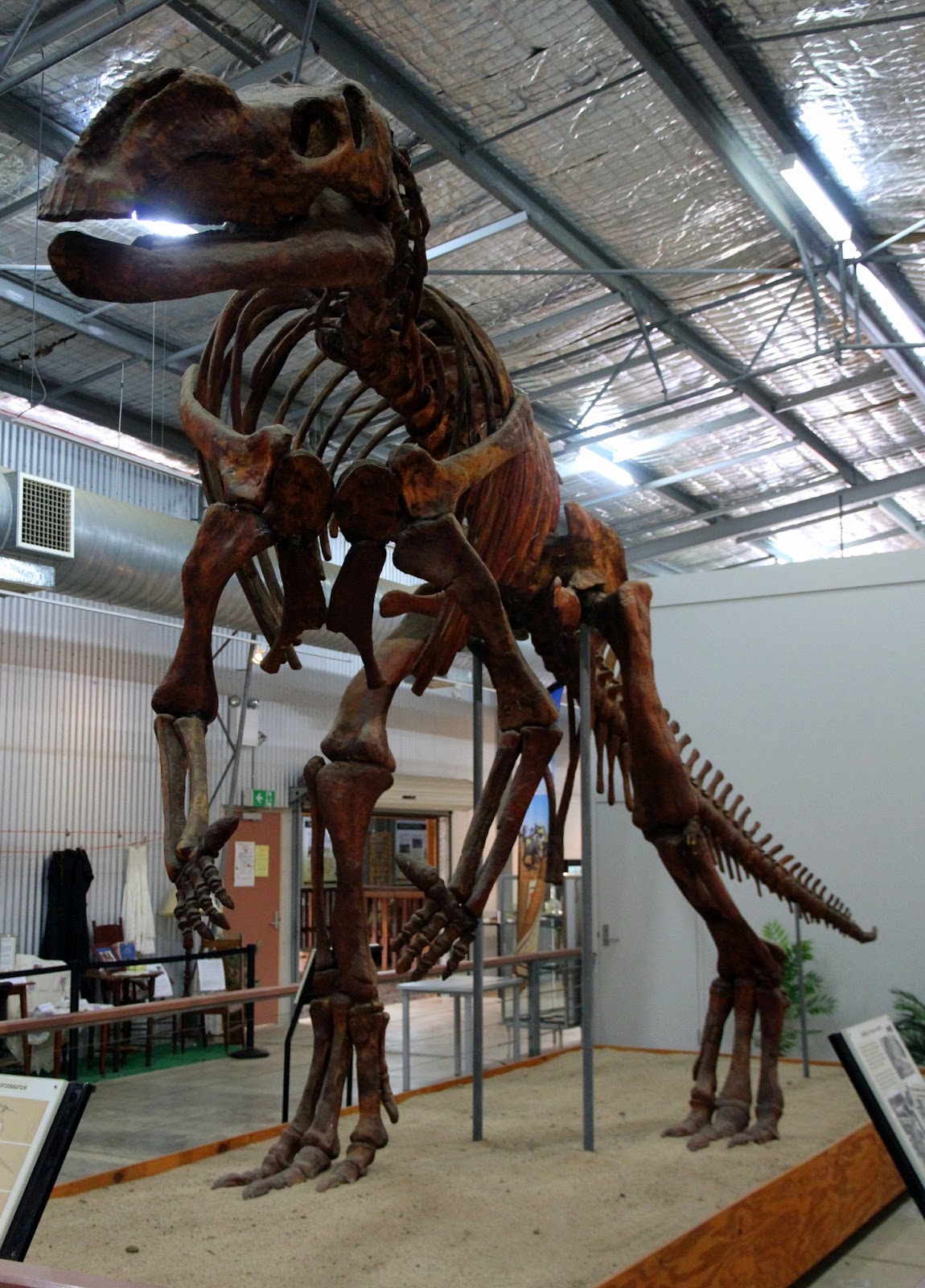 triangle head dinosaur