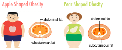 apple and pear shaped body