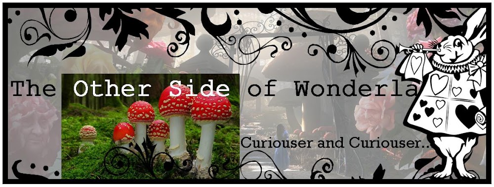 The Other Side of Wonderland