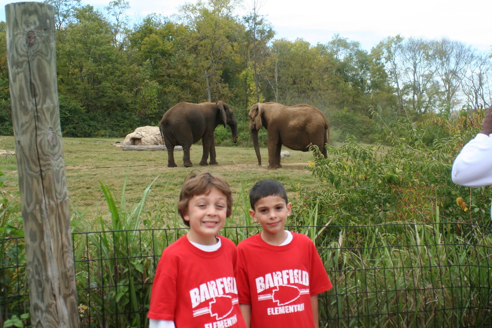 The Brown Family Scoop: Zoo Field Trip
