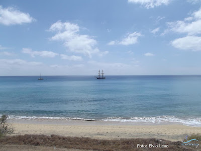 Morgenster (Estrela da Manhã) em Porto Santo