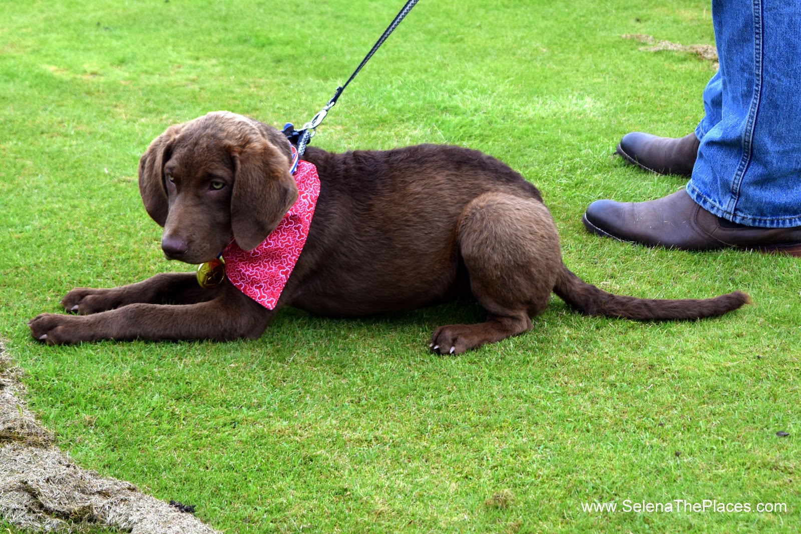 Oh, the places we will go! Chobham Show 2016