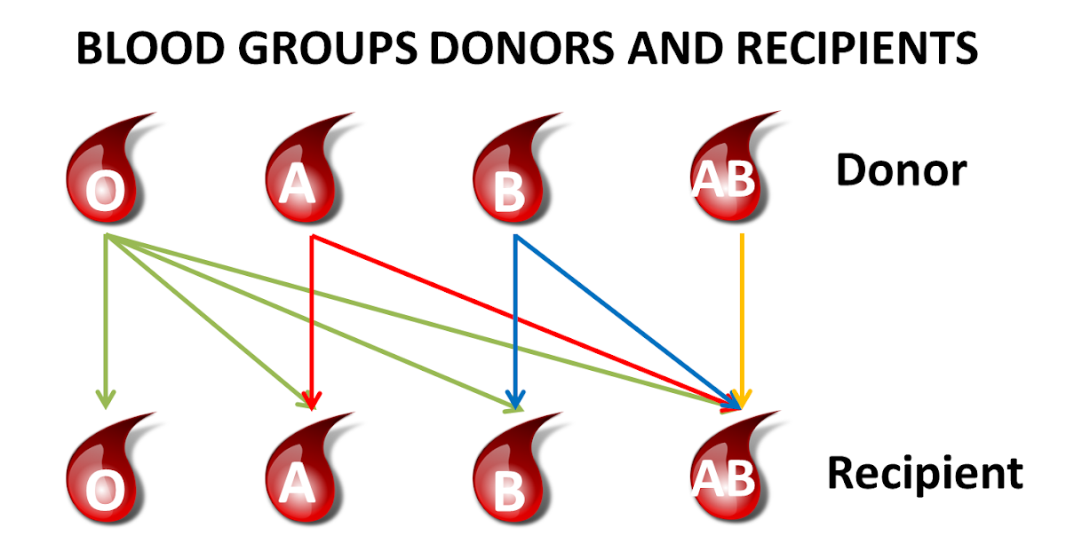 Blood groups, donors and recipients