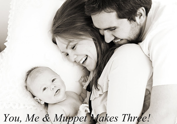You, Me and Muppet Makes Three!