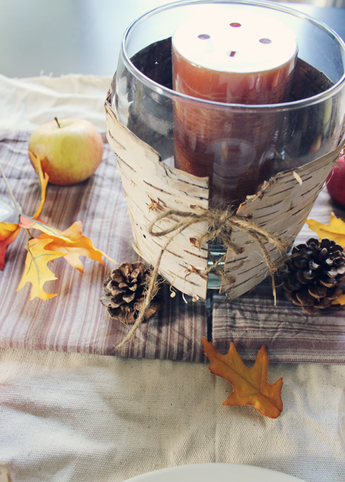 Thanksgiving Week: Rustic Birch Bark Candle Holder • Brittany Stager