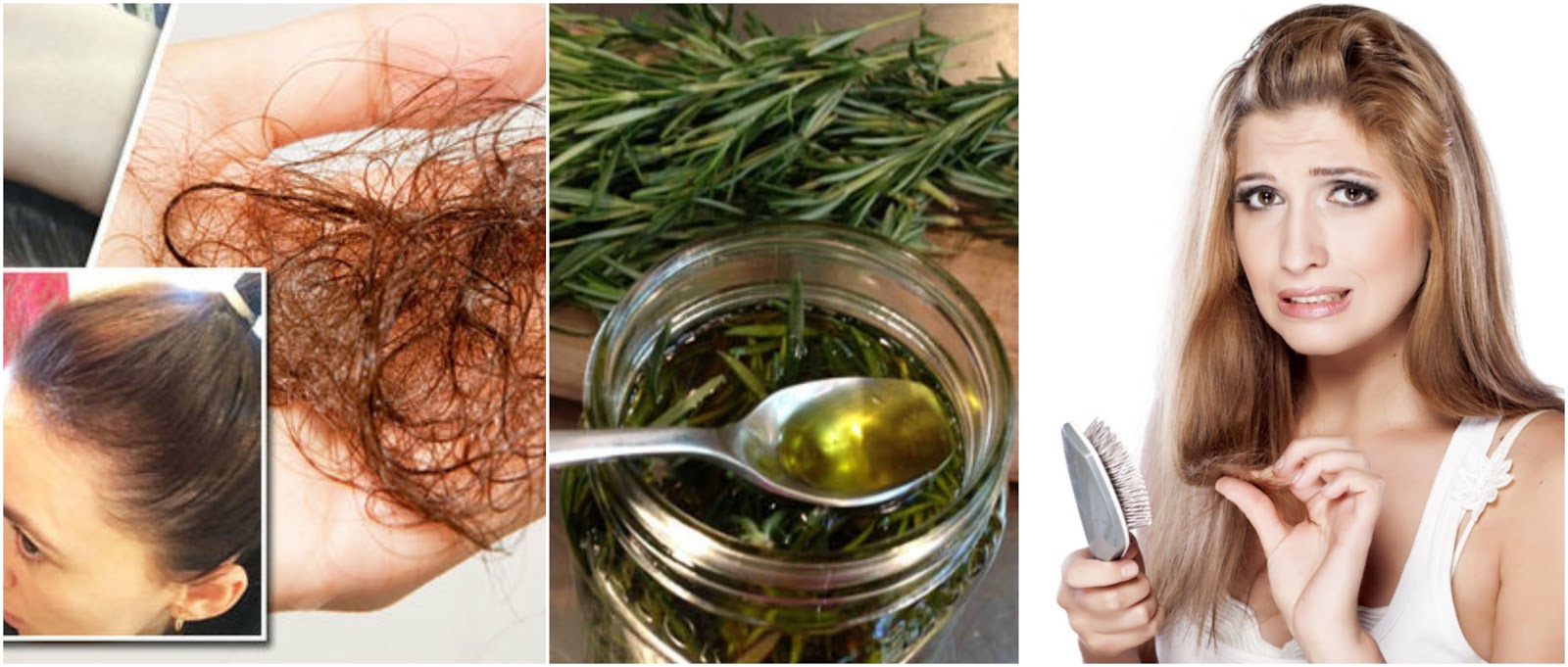 Comprobado Frena La Caída Del Cabello Con Este Macerado De Romero Manoslindas Com
