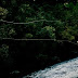 Casting in Fly Fishing