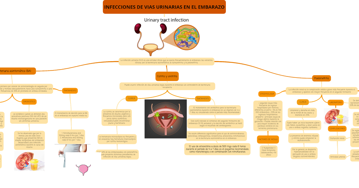 uretritis embarazo