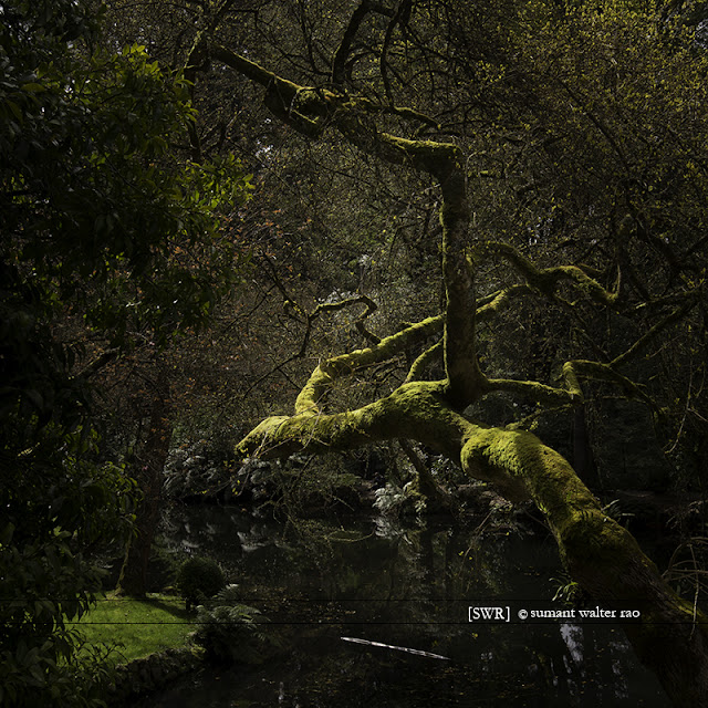 Sumant Walter Rao Photography