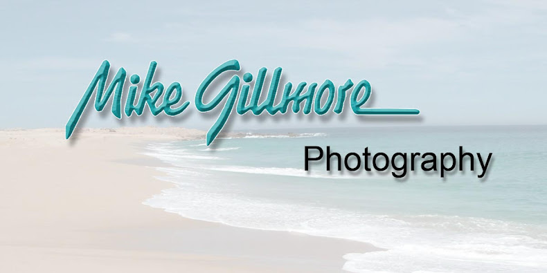 Mike Gillmore Photography