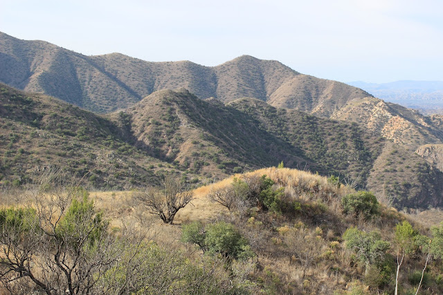 Guided%2BCoues%2BDeer%2BHunts%2Bin%2BSonora%2BMexico%2Bwith%2BJay%2BScott%2Band%2BDarr%2BColburn%2BDIY%2Band%2BFully%2BOutfitted%2B9.JPG