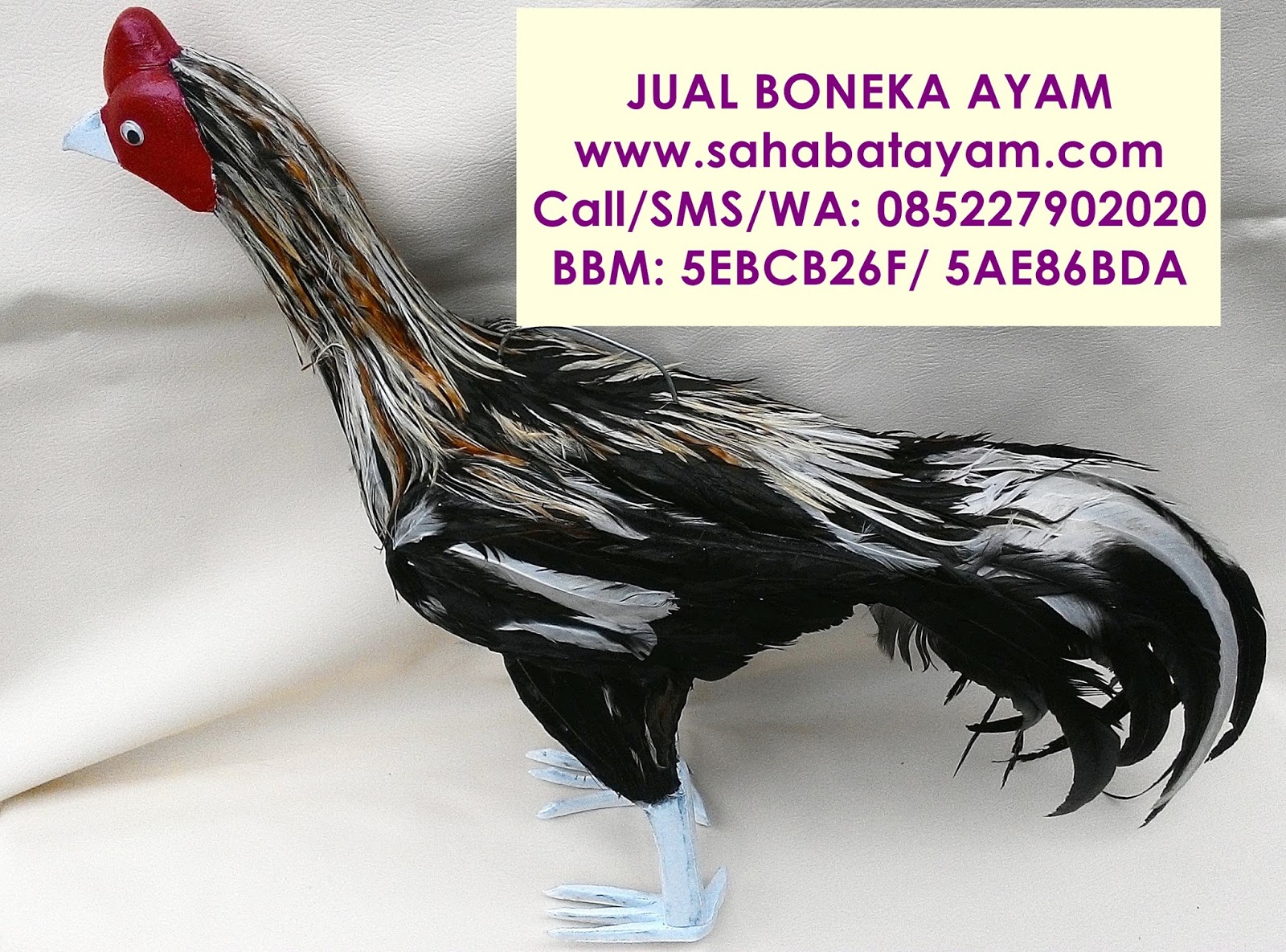 BONEKA AYAM ADUAN UNTUK LATIHAN AYAM LAGA