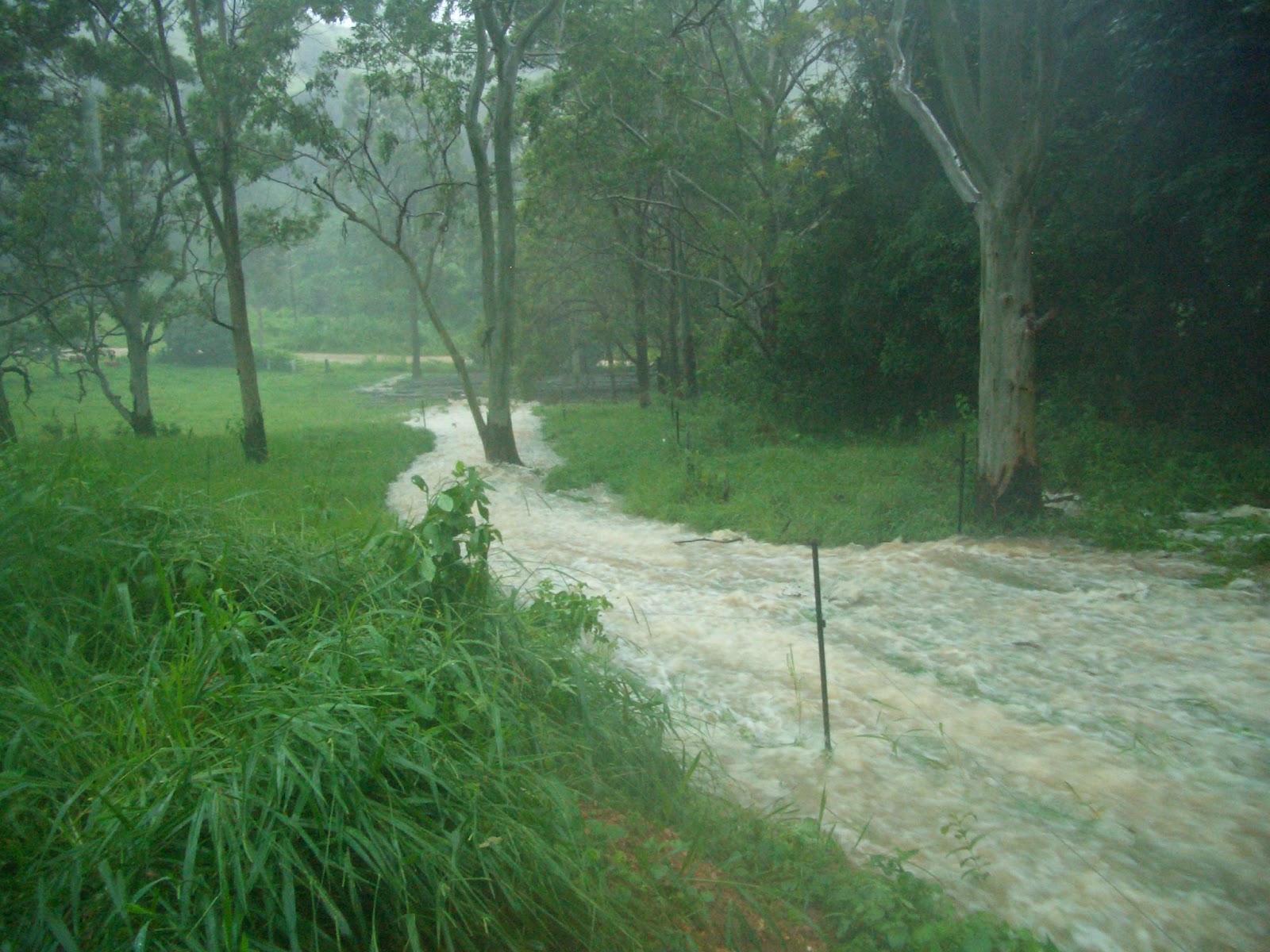 The swale overflow water running  down the hill over the paddock