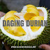 Produsen Daging Durian Medan yang Tiada Duanya di Natuna