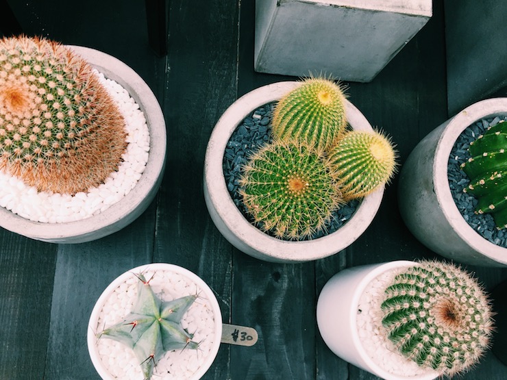 City Postcards: Megan's Los Angeles city guide for a great vacation