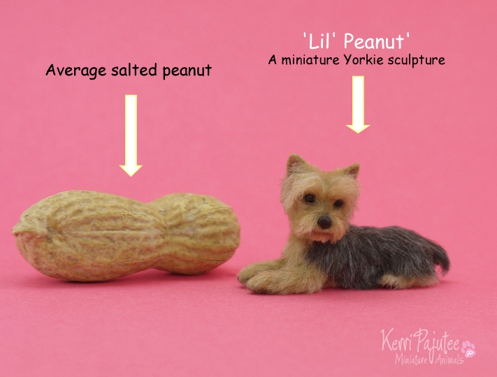 24-Yorkie-Lil-Peanut-Kerri-Pajutee-Miniature-Sculpture-that-look-Real-www-designstack-co