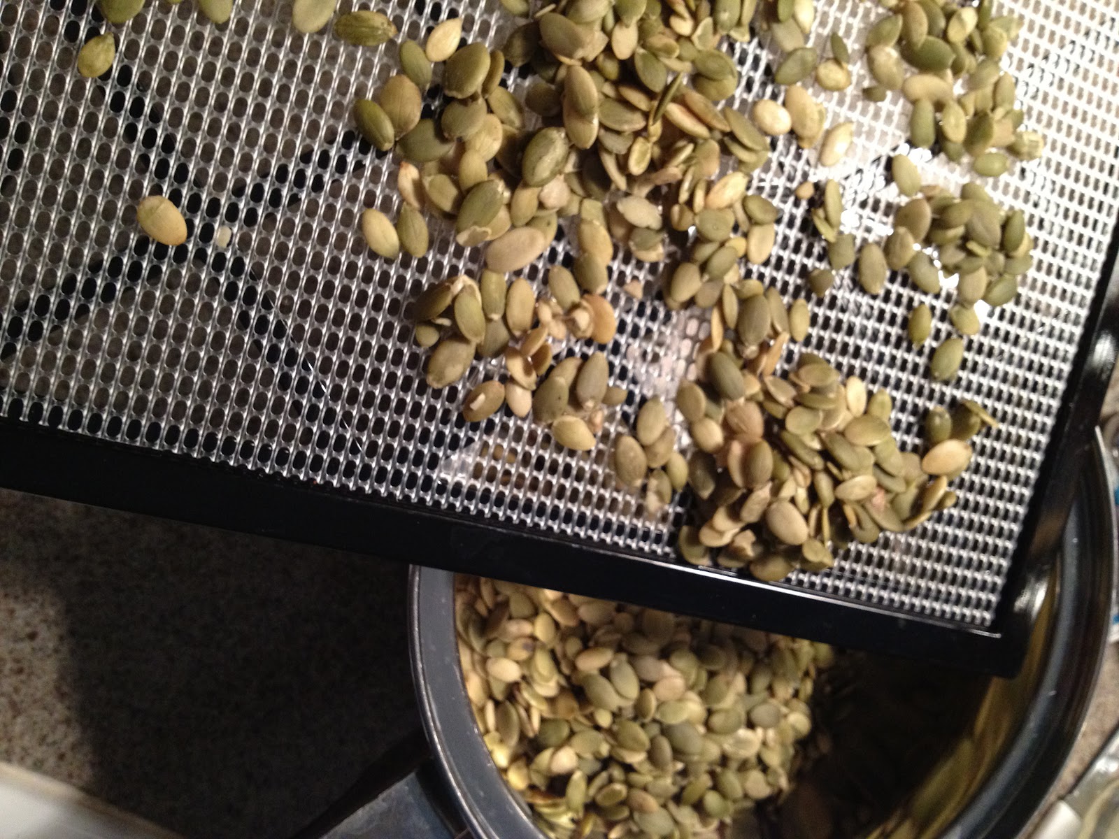 Feel Divine Food Soaked & Dehydrated Pumpkin Seeds (Pepitas)