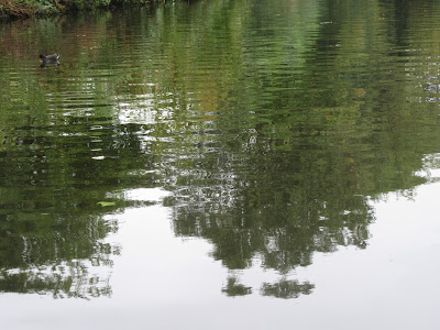 Canal side reflections http://snadralovesblogging.blogspot.co.uk/