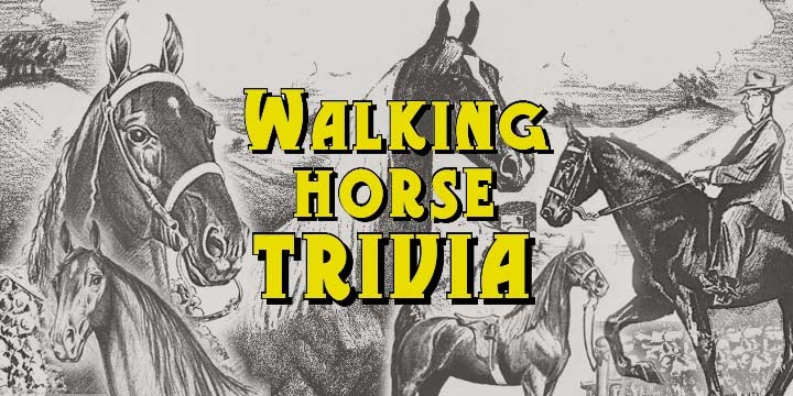 Walking Horse Trivia