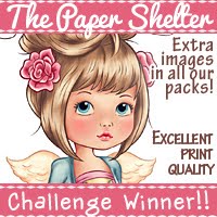 Dec 2018 Blog Hop Winner!