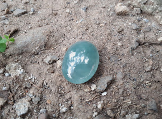 Natural Giok Jadeite Jade Type A JDT010 Cobochon Origin Burma 17cts
