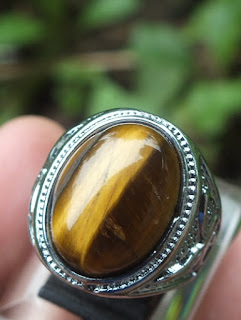 tiger's eye tiger's eye
