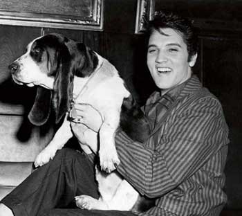 Las Mascotas de Elvis Presley Las Mascotas de Elvis Presley