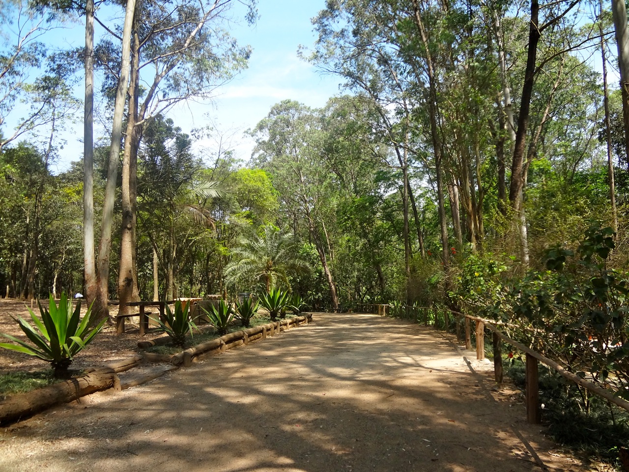 Parque Anhanguera em São Paulo Áreas Verdes das Cidades Guia de Parques