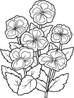  flower coloring books
