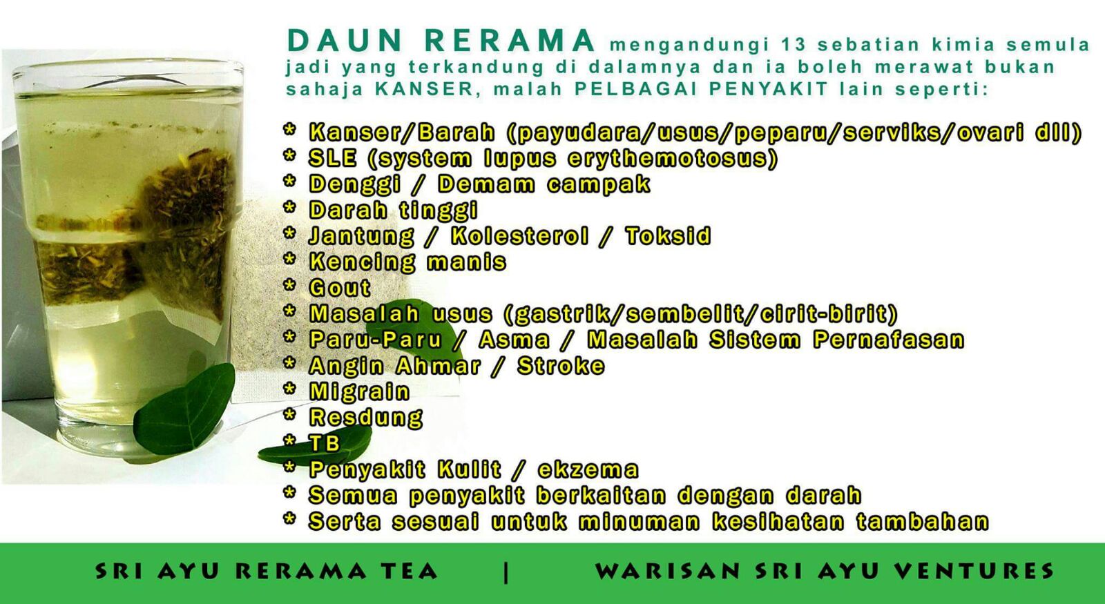 Teh Rerama teh kanser daun rerama manfaat teh kanser daun herba Teh Rerama teh kanser daun rerama manfaat teh kanser daun herba