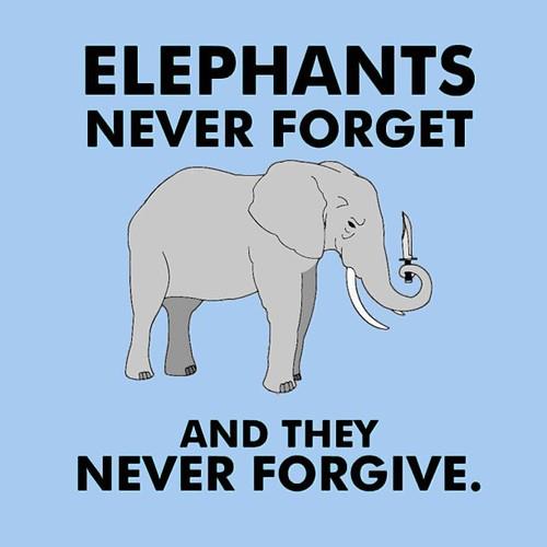 elephant that never forgets