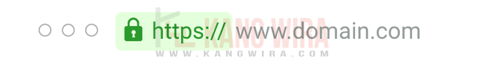 SSL Domain TLD