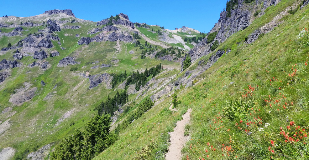 Snowgrass Flat / Goat Ridge Loop + Knife's Edge to Elk Pass 1 Reviews